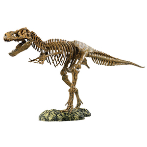 T-Rex Skeleton Model