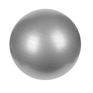 Sunny Health & Fitness Anti-Burst Gym Ball-65cm
