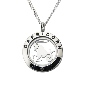 Inox Jewelry Women's Stainless Steel Cubic Zirconia Zodiac Capricorn Pendant Necklace