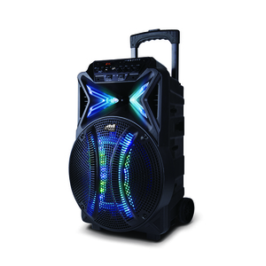 12" Wireless Portable Karaoke System w/ Lights