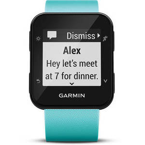 Forerunner 35 GPS Running Watch with Wrist-Based Heart Rate (Frost Blue)