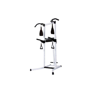 Body Champ Multi-Functional Power Tower