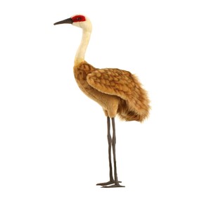 hansa Crane 29 Inch Plush