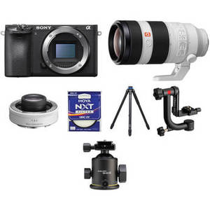Alpha a6500 with 100-400mm Lens and 1.4x Teleconverter Wildlife Kit