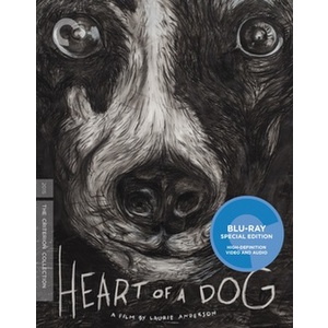 Heart of a Dog