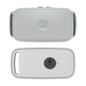 Shock-Free Training Collar w/ Remote