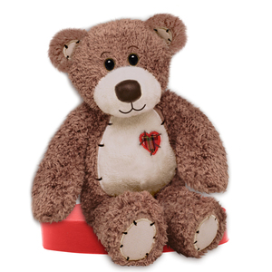 First and Main Tender 15 Inch Teddy