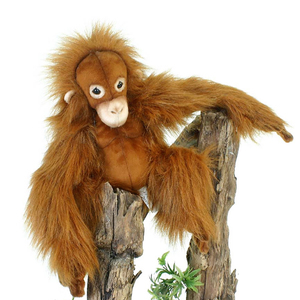 hansa Baby Orangutan