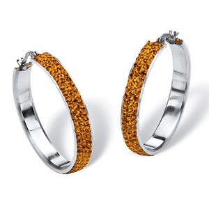 PalmBeach Jewelry Pave Birthstone Hoop Earrings in Stainless Steel