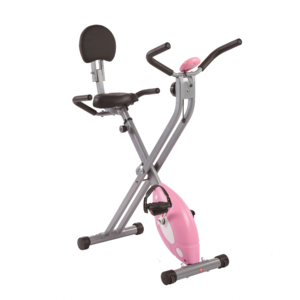 Sunny Health & Fitness SF-RB1117 Folding Recumbent Bike