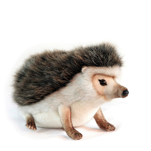 hansa African Pygmy Hedgehog