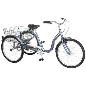 Schwinn 24" Meridian Single-Speed Bike