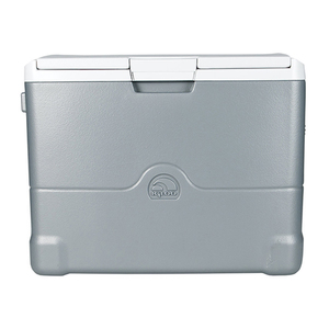 Iceless 40 Thermoelectric Cooler