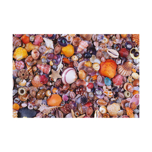 Piatnik Seashells Jigsaw Puzzle: 1000 Pcs