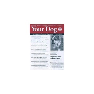 Your Dog - 12 Issues - 1 Year