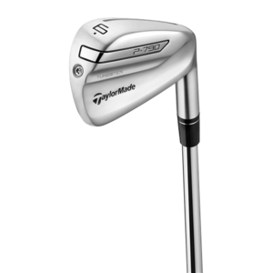 TaylorMade P790 Steel Irons