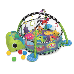 Grow-With-Me Activity Gym & Ball Pit Ages 0+ Months