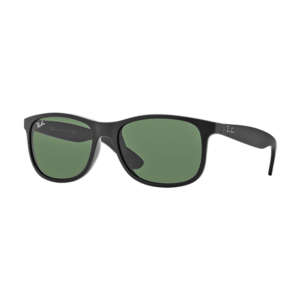 Ray-Ban RB4202 Andy Sunglasses