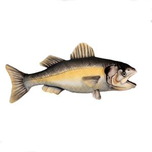 hansa Sea Bass Fish