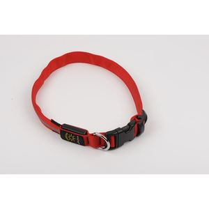 Nite Dawg LED Collar, red, two pack