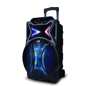 15" Portable Bluetooth Karaoke Speaker w/ Lights