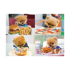 Willow Creek Press Jiffpom Jigsaw Puzzle: 1000 Pcs