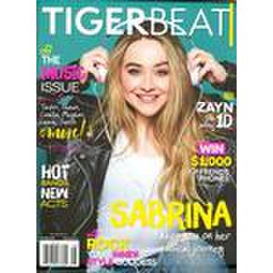 Tiger Beat - 12 Issues - 1 Year