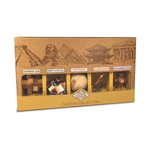 Recent Toys True Genius Brain Teaser Curated Collection