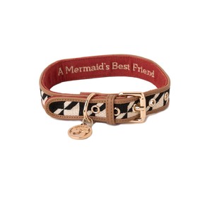Stoddard Dog Collar Medium