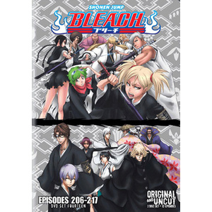 Bleach Box Set 14