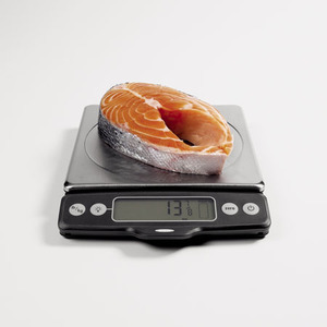 Food Scale with Pull-Out Display