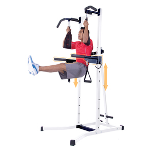 Body Power &#174; Multi-Functional Power Tower
