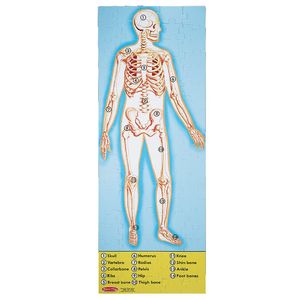 Melissa & Doug Human Body Floor (100 pc)